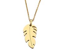 Pendant Elegant Lover's Feather Gold and Silver Color Necklace Engagement Jewelry,Colour:Silver (Color : Gold-Color)