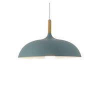 Pendant Nordic Color Hanging Light Metal Lamp Cover Shape Chandeliers Fixtures for Living Room, Kitchen Island, Hotel, Study Room(Blue,60CM)