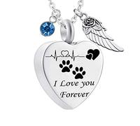 Pendant Urns for Human Ashes,Heart with ECG Dog Paw Print Birthstone and Angel Wing Engraving I Love You Forever Ash Necklace Stainless Steel Necklace Urns