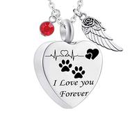Pendant Urns for Human Ashes,Heart with ECG Dog Paw Print Birthstone and Angel Wing Engraving I Love You Forever Ash Necklace Stainless Steel Necklace Urns
