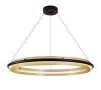 PendantLight, Lampe à Suspension à Anneau LED de Luxe de lumière Nordique, Minimaliste d'exposition, Hauteur réglable pour Salon Salle à Manger Cuisine Suspension (lumière Blanche, 60 cm)