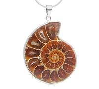 Pendentif ammonite 2-3 cm Chaîne Fossil en argent 925 Œillet