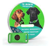 Pendentif Anti-Puces & Tiques pour Chien - Protection Naturelle sans Produits Chimiques - Collier Alternatif Rechargeable(Green)