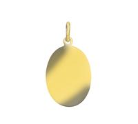 Pendentif bijou en or jaune 585 plaque ovale 20x27 mm mat/brillant 14 carats V