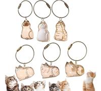 Pendentif Boîte De Conservation De Poils De Chat, Porte-clés capsule commémorative en poils de chat, bouteille souvenir portable en forme de chat, cadeau de souvenir pour les amoureux des chats(6-Piec