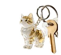 Pendentif Chat Avec Porte-clés - Flacon De Stockage Transparent En forme Féline | Conservez Moustaches Et Poils D’Animaux | Souvenir De Compagnon Pour Maître Attristé