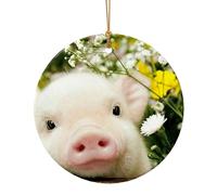 Pendentif circulaire en céramique avec impression de cochon de viol, petite décoration de Noël, cadeaux pour femmes ou hommes