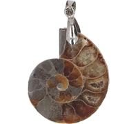 Pendentif en ammonite vintage fait main pour les femmes