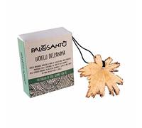 Pendentif en Bois de Palo Santo - Pendentif Tranche de Palo Santo - parfumé pour l'aromathérapie