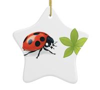 Pendentif en céramique pour sapin de Noël - Décoration à suspendre - YYHWHJDE - Herbe et sept étoiles - Coccinelle - Facile à accrocher sur les arbres, les portes et les fenêtres