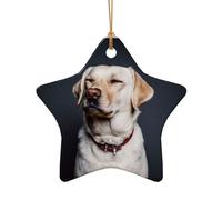 Pendentif en céramique pour sapin de Noël en forme d'étoile - Motif labrador mignon - Décoration de Noël à suspendre - Décoration de Noël d'intérieur - Cadeaux de fête