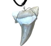 Pendentif en dent de requin XL fossilisé avec bracelet en cuir | Fossiles I Qualité supérieure I Non traité I Naturel