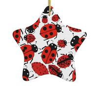 Pendentif en forme d'étoile à suspendre en céramique Motif coccinelles YYHWHJDE Motifs infinis mouchetés Trous soigneusement percés Corde en métal