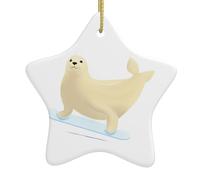 Pendentif en forme d'étoile à suspendre en céramique pour sapin de Noël BROLEO Patinage sur glace Sceau Impression avec trous soigneusement percés Corde en métal