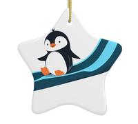 Pendentif en forme d'étoile à suspendre en céramique pour sapin de Noël DDCXZPP Petit pingouin sur le toboggan Impressions Maisons, centres commerciaux, supermarchés et magasins