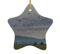 Pendentif en forme d'étoile à suspendre en céramique pour sapin de Noël WHJSHOP oiseaux migrateurs voler du sud imprimés petits et exquis