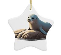 Pendentif en forme d'étoile à suspendre en céramique pour sapin de Noël Yyhwhjde Sceau sur les rochers Regardant les empreintes de la mer Conçu spécifiquement pour les vacances 7,9 x 7,9 cm