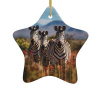 Pendentif en forme d'étoile à suspendre en forme d'arbre de Noël en céramique WHJDPP Zèbres sur l'Afrique du Sud imprimant les maisons, les centres commerciaux, les supermarchés et les magasins