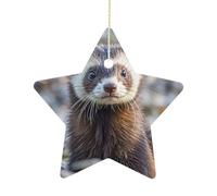 Pendentif en forme d'étoile de furet poilu en forme d'étoile à suspendre en céramique pour sapin de Noël, hiver, Nouvel An, fête de mariage, décoration d'intérieur