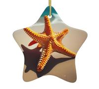 Pendentif en forme d'étoile de mer en céramique pour sapin de Noël BROLEO Sunny Day Beach Impression avec trous soigneusement percés Corde en métal