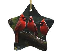 Pendentif en forme d'étoile en céramique à suspendre en forme d'arbre de Noël YYHWHJDE avec oiseaux rouges et faune, trous soigneusement percés, corde en métal