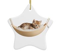 Pendentif en forme d'étoile en céramique à suspendre en forme de chaton DLXW dans le berceau pour maisons, centres commerciaux, supermarchés et magasins