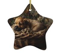 Pendentif en forme d'étoile en céramique à suspendre en forme de chiot DLXW dans un berceau pour maisons, centres commerciaux, supermarchés et magasins