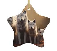 Pendentif en forme d'étoile en céramique à suspendre en forme de sapin de Noël - Motif famille de loups WHJSHOP - Conçu spécifiquement pour les vacances - 7,9 x 7,9 cm