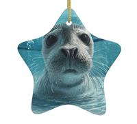 Pendentif en forme d'étoile en céramique à suspendre Motif WHJSSF Seals In The Pool Image conçue spécialement pour les vacances 7,9 x 7,9 cm