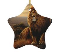 Pendentif en forme d'étoile en céramique à suspendre pour sapin de Noël DDCXZPP Le lion sur la colline imprime les maisons, les centres commerciaux, les supermarchés et les magasins