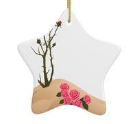 Pendentif en forme d'étoile en céramique à suspendre pour sapin de Noël - Décorations de vacances - Roses WHJSHOP dans le désert - Petits et exquis