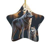 Pendentif en forme d'étoile en céramique à suspendre pour sapin de Noël Motif loups HJFCZH Conçu spécifiquement pour les vacances 7,9 x 7,9 cm