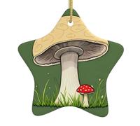 Pendentif en forme d'étoile en céramique à suspendre pour sapin de Noël YYHHAOFA Champignon à la recherche d'une maman Impression avec cordon métallique doré Facile à suspendre