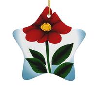 Pendentif en forme d'étoile en céramique à suspendre pour sapin de Noël YYHHAOFA The Swaying Little Red Flower Printing with Gold Wire Cord Easy Hanging