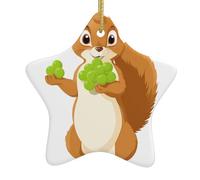 Pendentif en forme d'étoile en céramique à suspendre pour sapin de Noël YYHWHJDE écureuil tenant des raisins verts imprimés faciles à accrocher sur les arbres, les portes et les fenêtres
