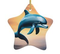 Pendentif en forme d'étoile en céramique pour sapin de Noël BROLEO Winter le dauphin Impression trous soigneusement percés Corde en métal