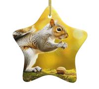 Pendentif en forme d'étoile en céramique pour sapin de Noël HJFCZH Écureuil mangeant des noyers. Trous soigneusement percés. Corde en métal