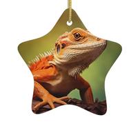 Pendentif en forme d'étoile en céramique pour sapin de Noël - Motif lézards vivants - Trous soigneusement percés - Corde en métal