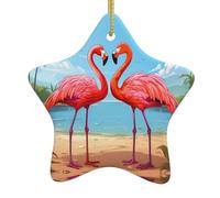 Pendentif en forme d'étoile en céramique pour sapin de Noël - YYHWHJDE - Deux flamants roses - Trous soigneusement percés - Corde en métal