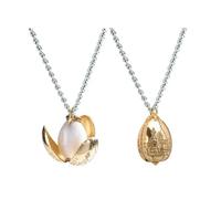 Pendentif et collier Noble Collection Harry Potter Pendentif et collier Oeuf dÂŽOr ArgentÃ© TU