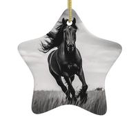 Pendentif étoile de Noël en céramique à suspendre Décorations de vacances YYHHAOFA Noir Étalon Impression Petit et exquis