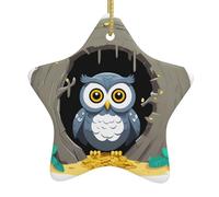 Pendentif étoile suspendue en céramique pour sapin de Noël Whjdpp Hibou garde trésor impression décoration centres commerciaux, supermarchés, magasins