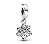 Pandora Charm Pendant Empreinte de Patte d'Animal de Compagnie Scintillant one size