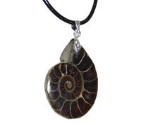 Pendentif fossile ammonite naturelle - Collier fossiles ammonite pendentif