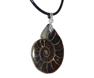 Pendentif fossile ammonite naturelle - Collier fossiles ammonite pendentif