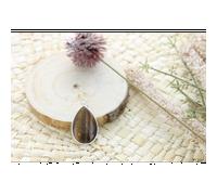 Pendentif goutte oeil de tigre & argent