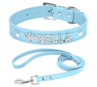 Pendentif Lettre Personnalisé, Collier De Chien Réglable, Facile À Nettoyer, Ensemble De Laisses pour Chihuahuas Shiba Inus Labradors Bouledogues,Bleu,M.