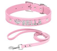 Pendentif Lettre Personnalisé, Collier De Chien Réglable, Facile À Nettoyer, Ensemble De Laisses pour Chihuahuas Shiba Inus Labradors Bouledogues,Un,S