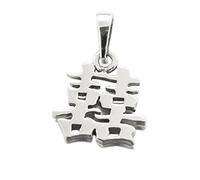Pendentif Porte-Bonheur Chinois Feng Shui en Argent estampillé 925 "Bonheur avec Son Cordon Cuir.