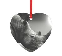 Pendentif rond en acrylique avec motif rhinocéros d'Afrique du Sud pour décoration de sapin de Noël